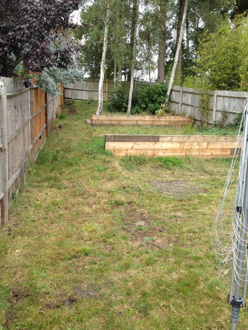 garden before image