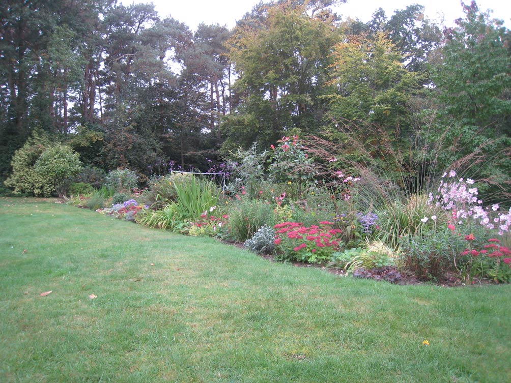 garden after image