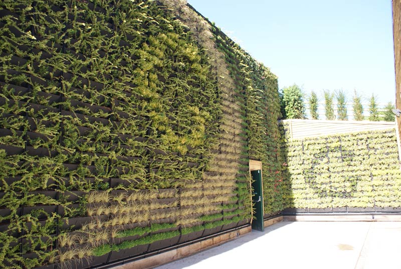 living wall after image