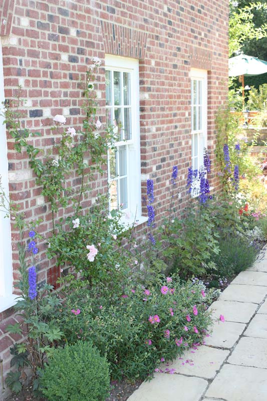 image of garden border in bloom